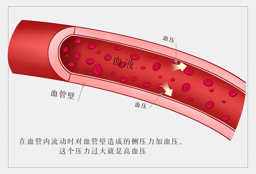 微信图片_20240319082005.jpg