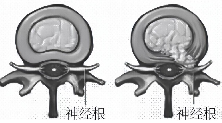 微信图片_20240719152837.jpg